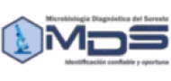 logo-removebg-preview